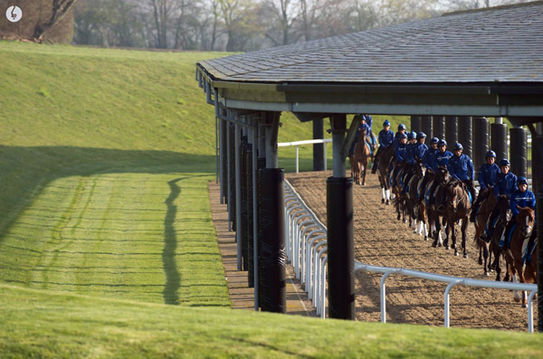 Godolphin Stables - Horse Racing